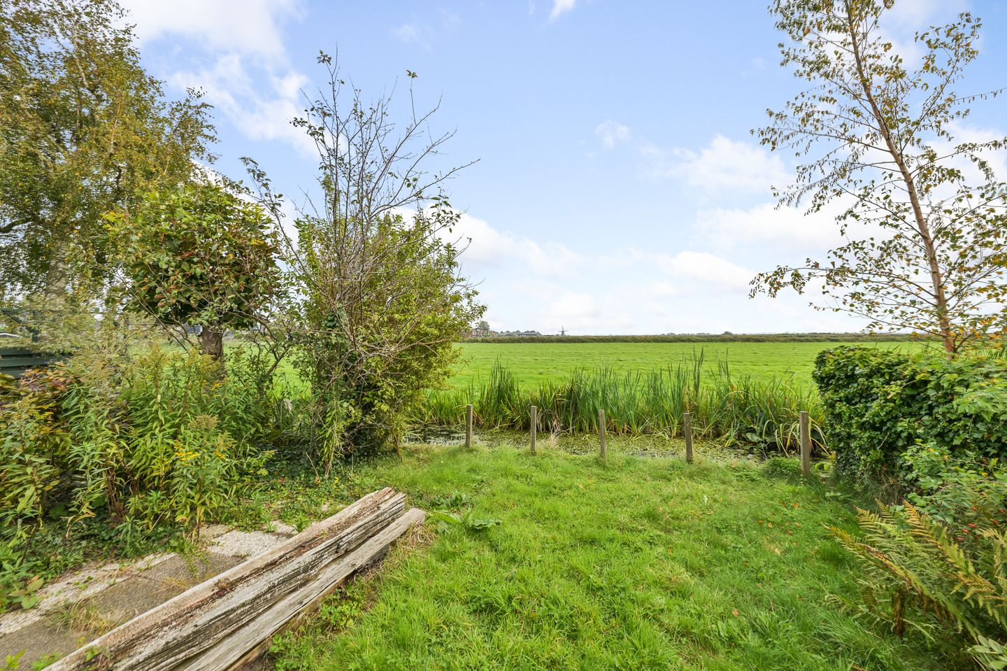 Foto 14 van Mariastraat 35