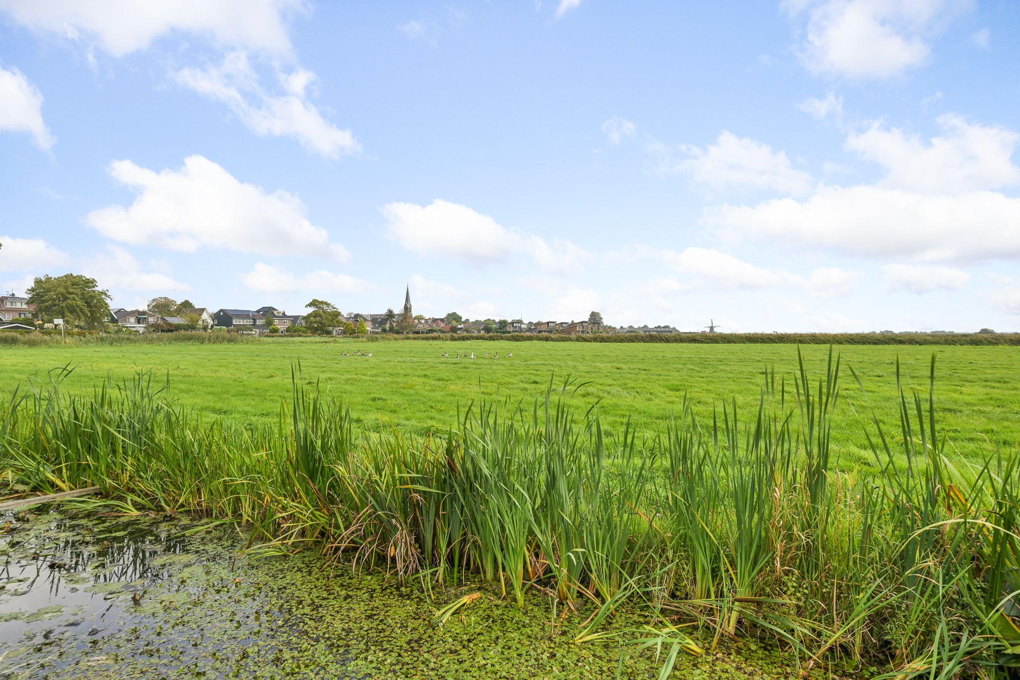 Foto 15 van Mariastraat 35