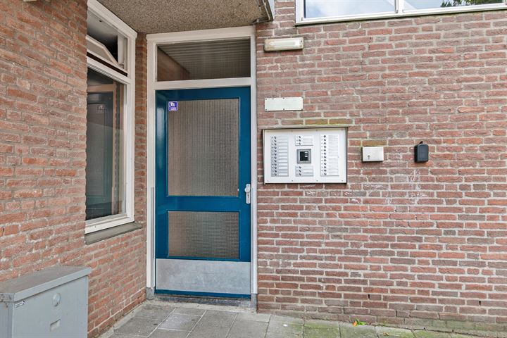 Bekijk foto 21 van Noordsingel 142