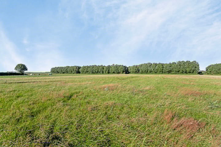 Foto 61 van Spanweg 3