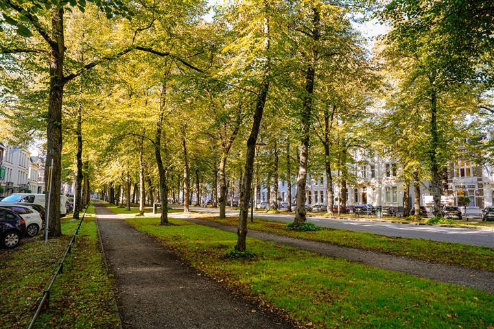 Bekijk foto 46 van Maliebaan 53-V