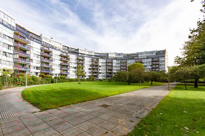 Foto 2 van Beysterveld 113