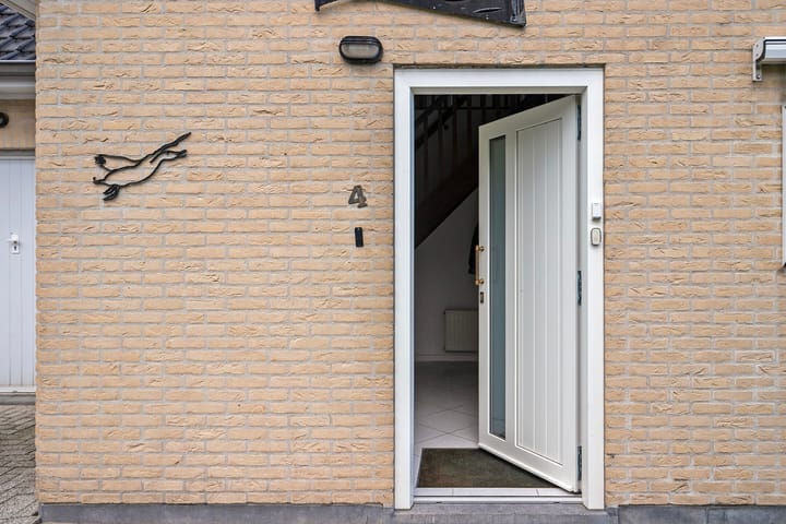 Photo 5 of Mosselverkorting 4