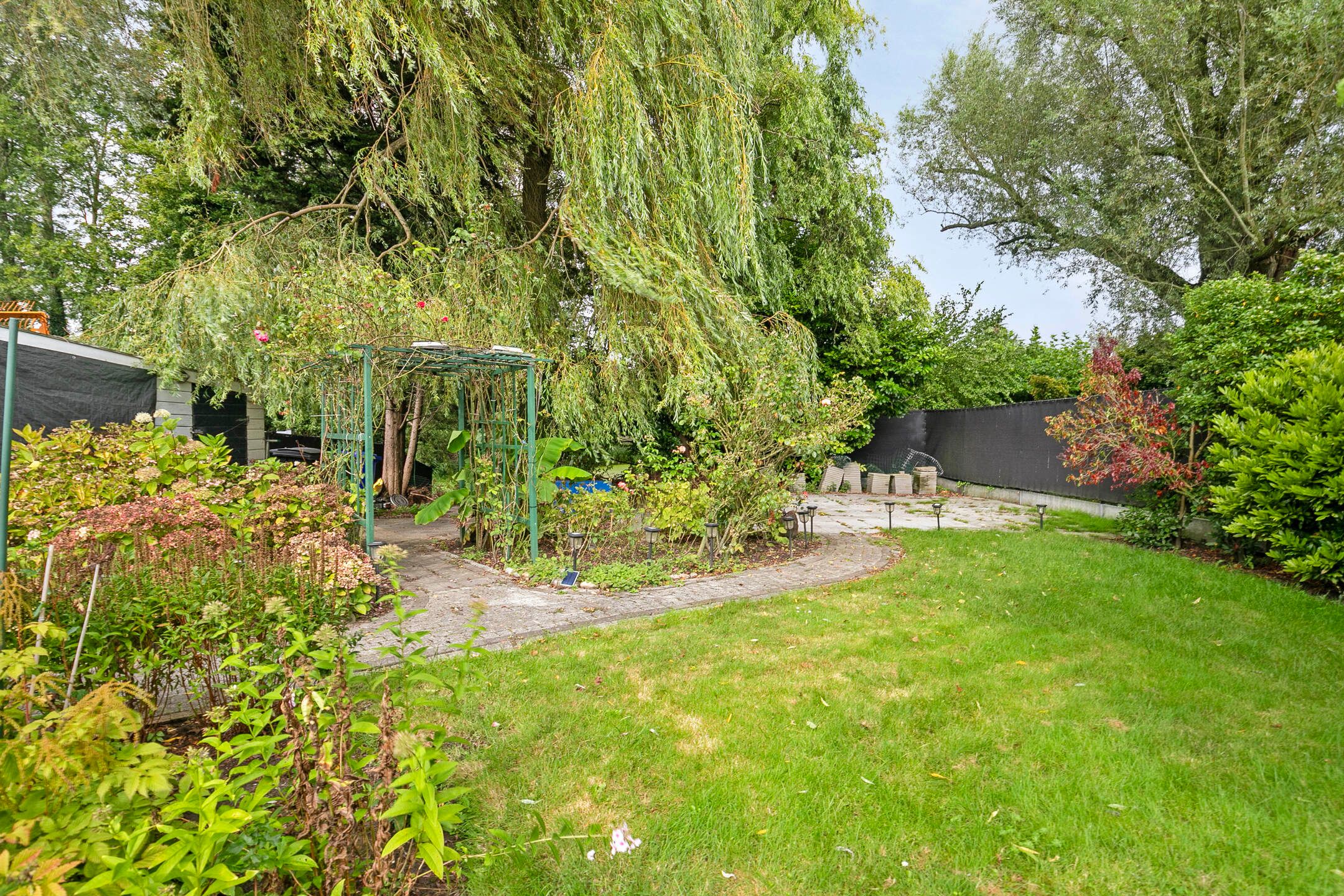 Foto 24 van Mosselverkorting 4