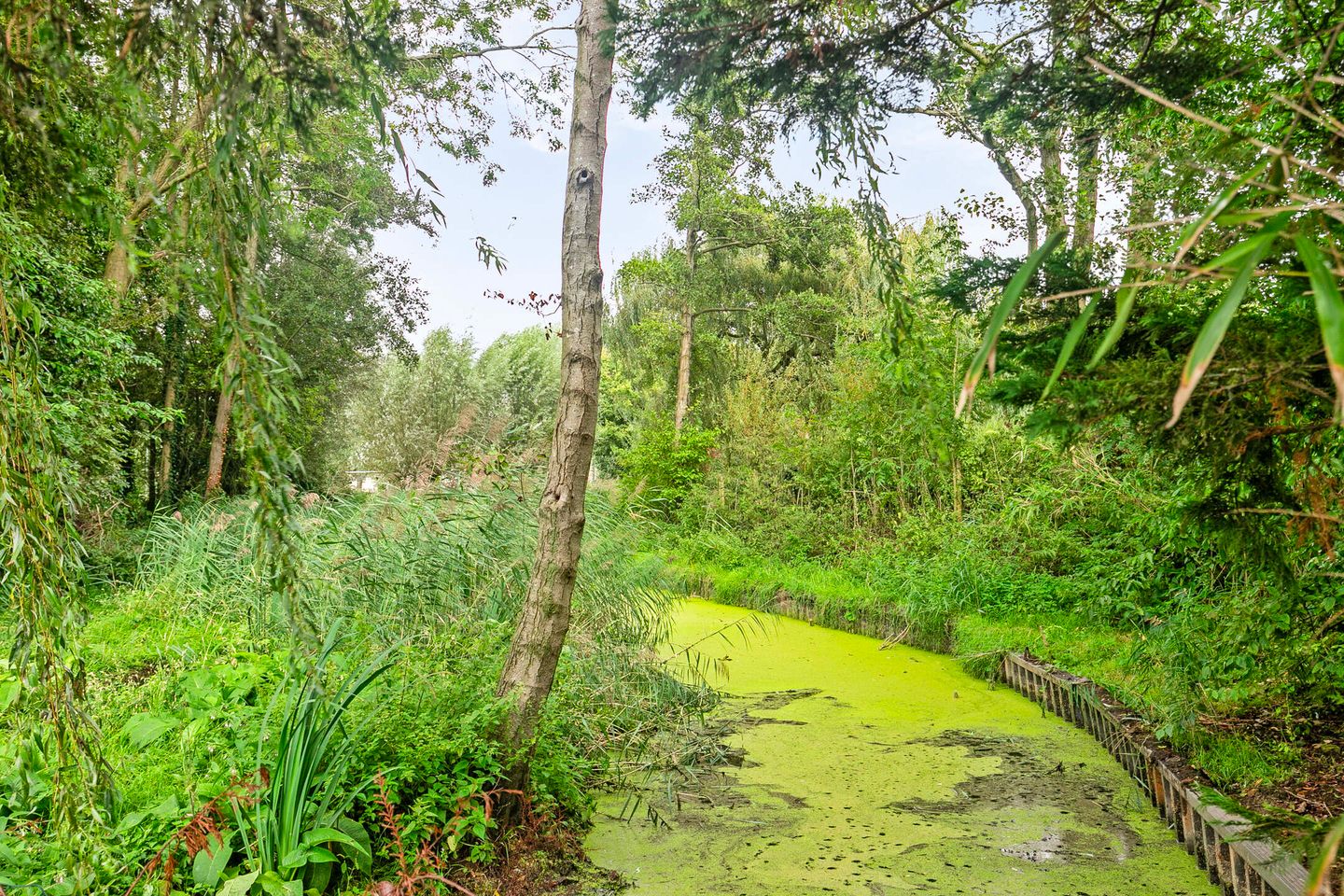 Foto 25 van Mosselverkorting 4