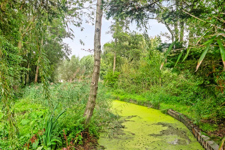 Photo 25 of Mosselverkorting 4