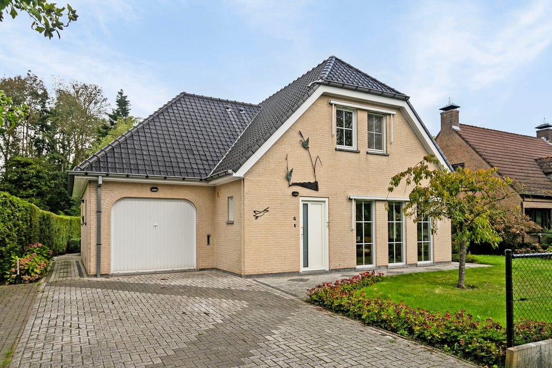 Foto 28 van Mosselverkorting 4