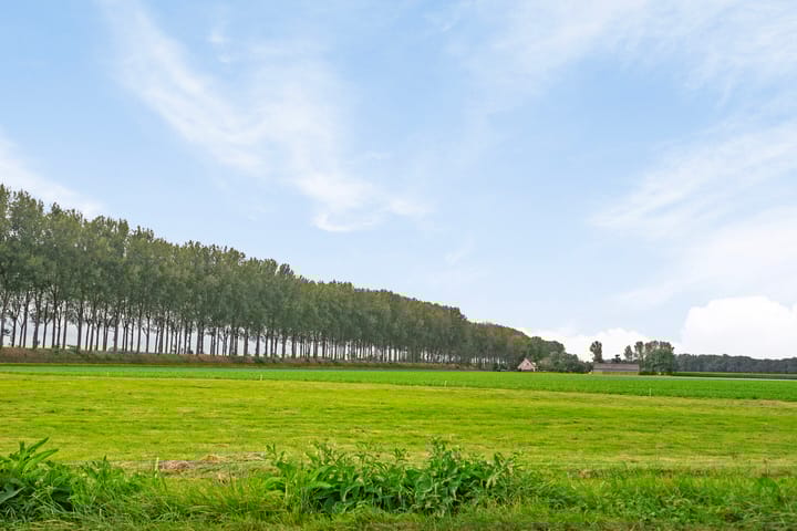 Photo 29 of Mosselverkorting 4