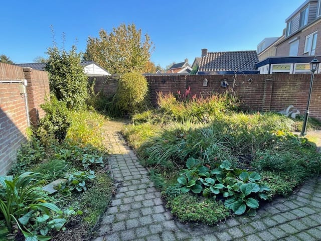 Foto 43 van Willem Passtoorsstraat 52