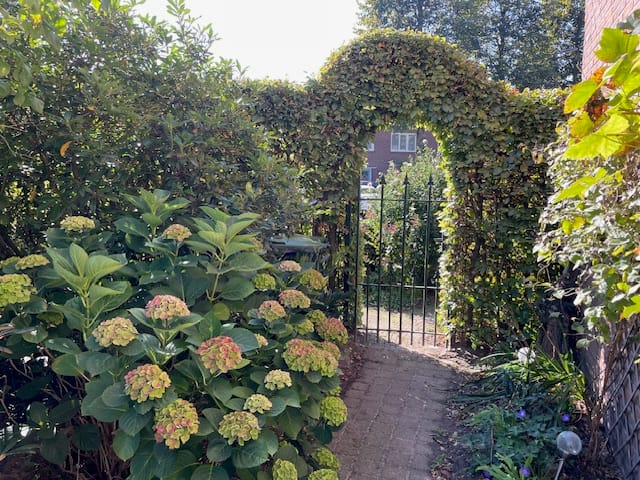 Foto 44 van Willem Passtoorsstraat 52