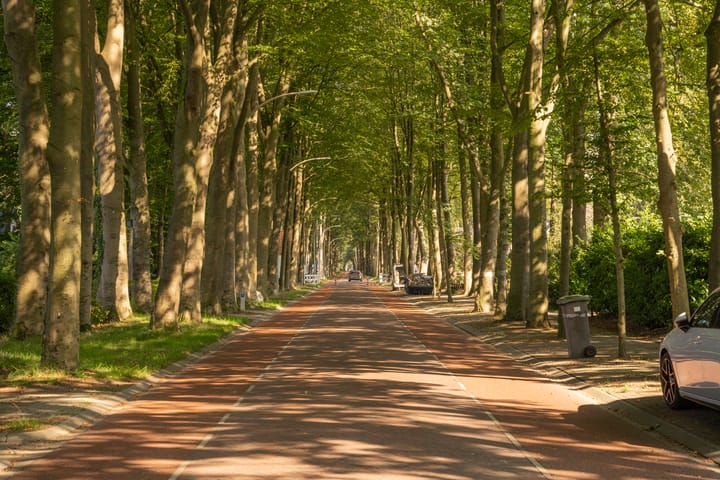 Foto 9 van Joppelaan 27