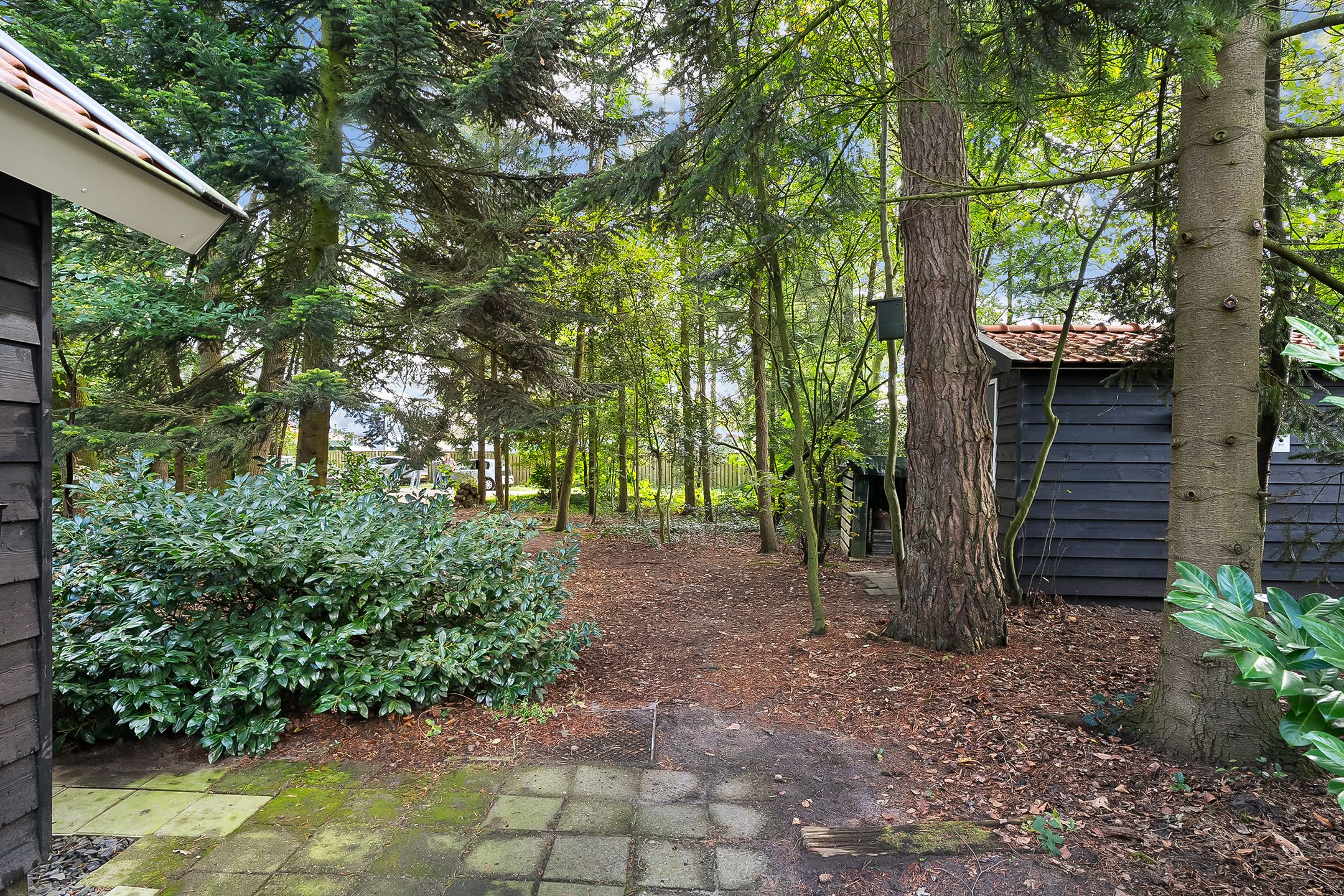 Foto 6 van Marsdijk 3-011