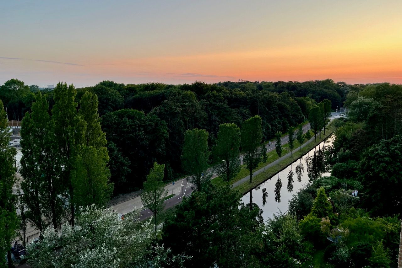 Photo 59 of Nieuwe Parklaan 38