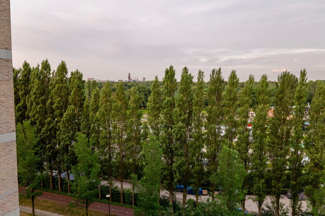 Photo 62 of Nieuwe Parklaan 38