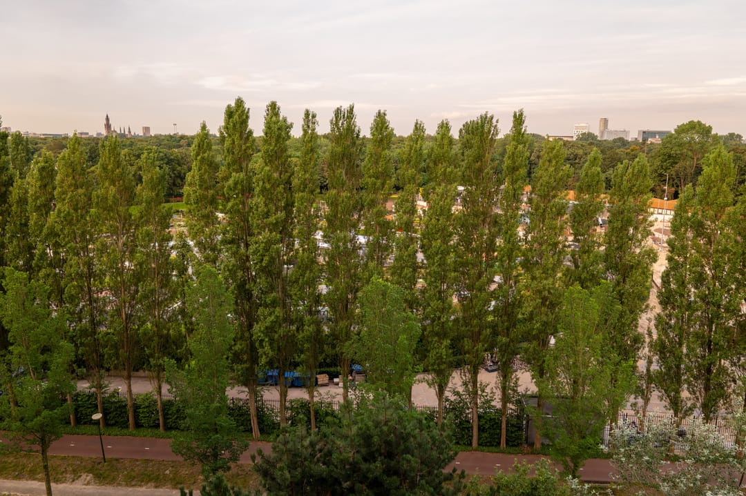 Photo 61 of Nieuwe Parklaan 38