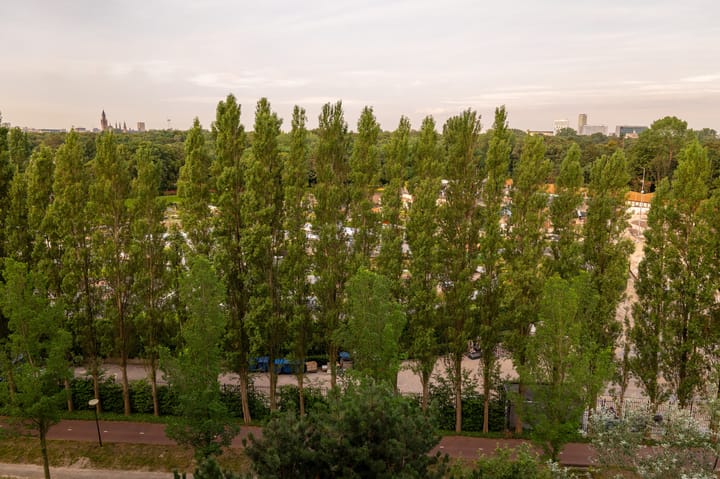 Foto 61 van Nieuwe Parklaan 38