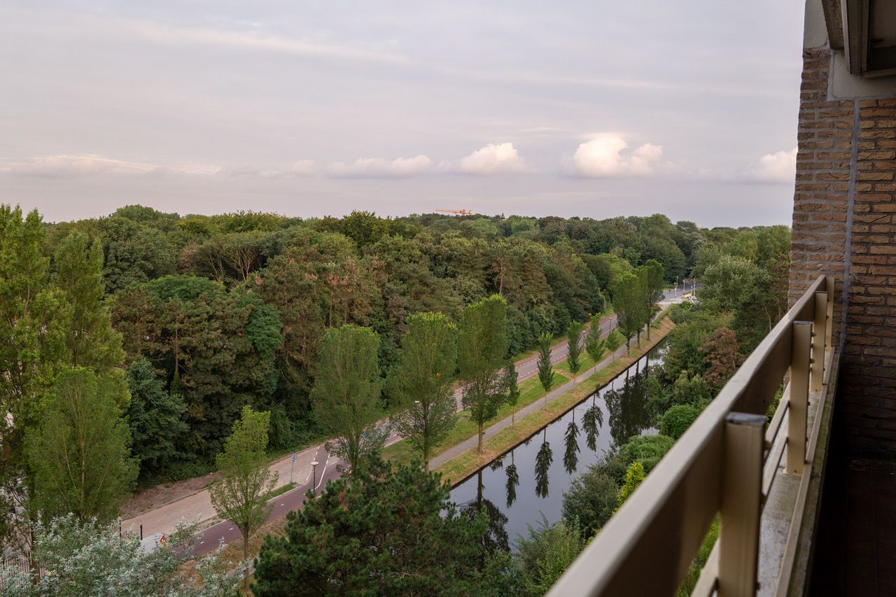 Photo 60 of Nieuwe Parklaan 38