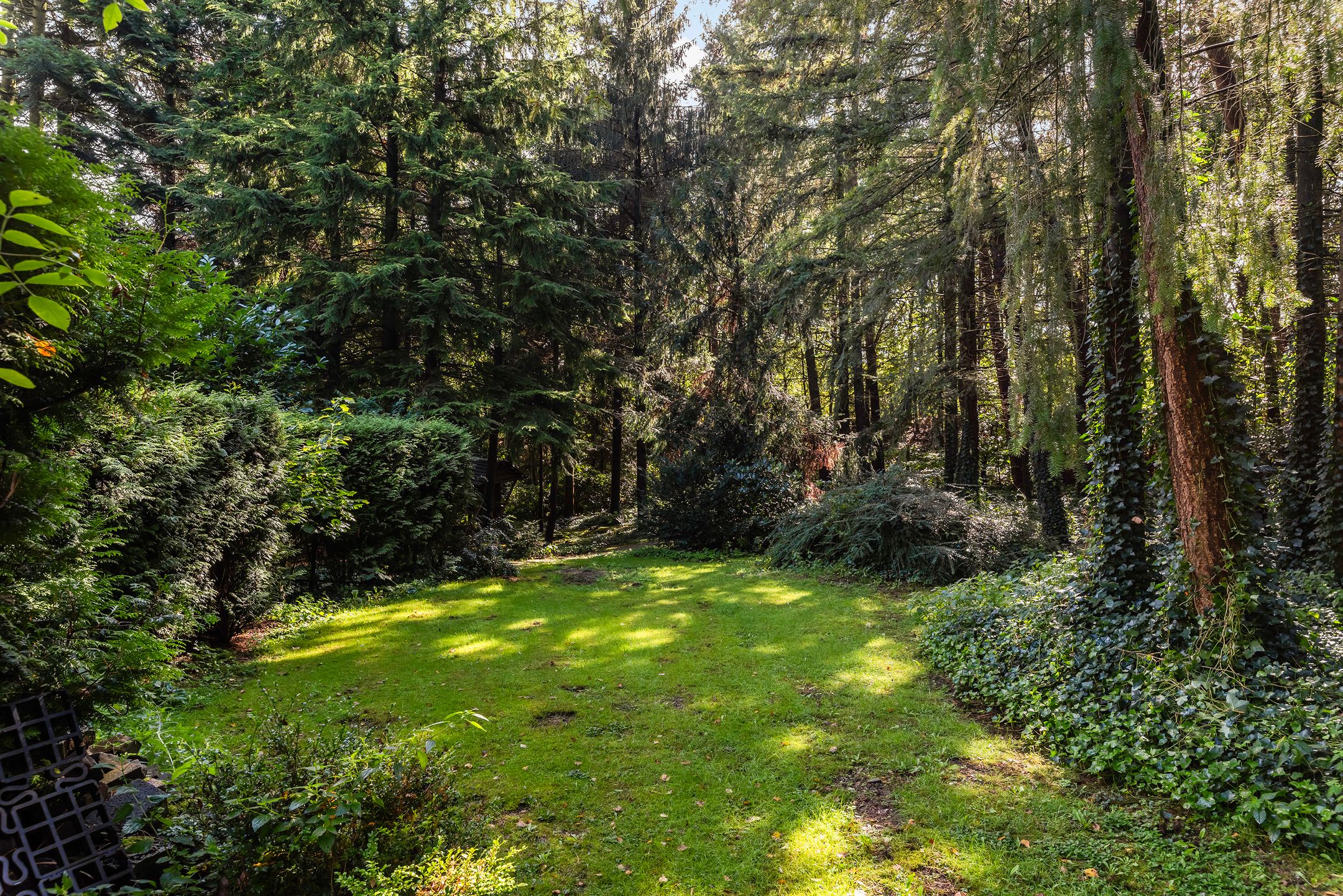 Foto 39 van Schalterdalweg 11