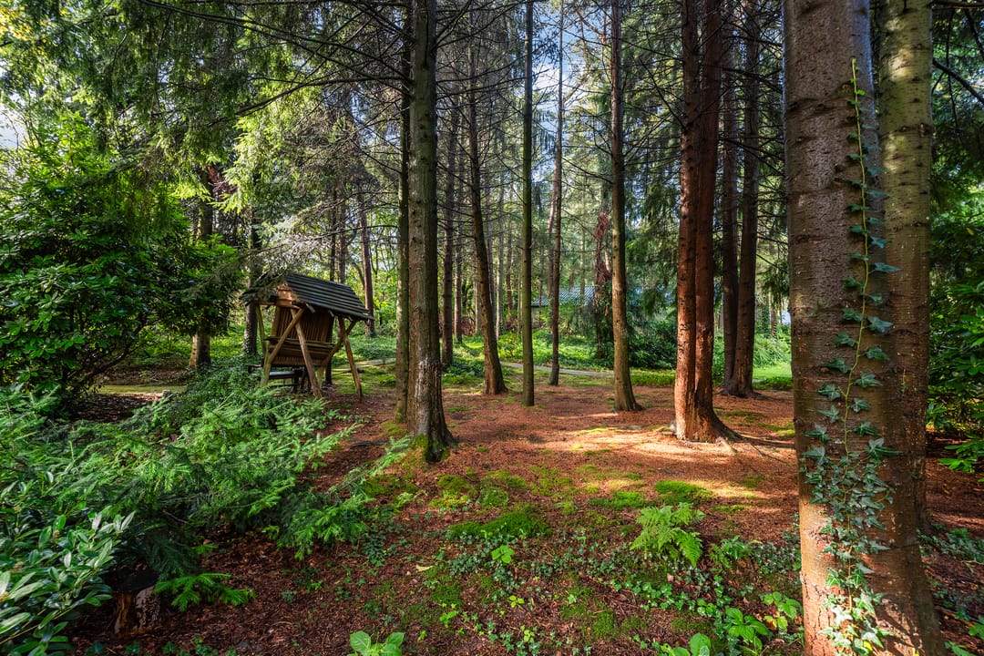 Foto 41 van Schalterdalweg 11