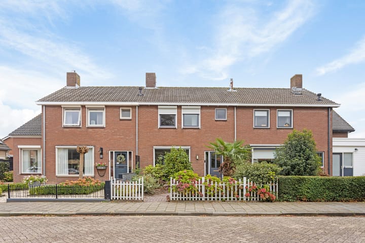 undefined main image