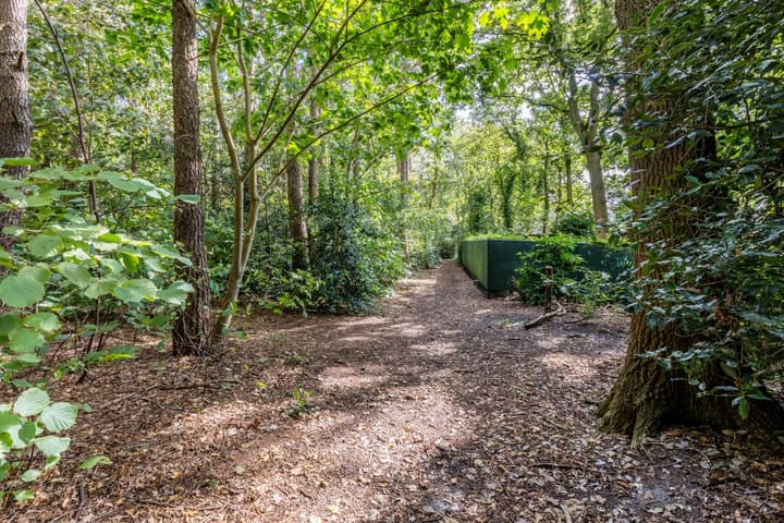 Foto 55 van Veenbes 12