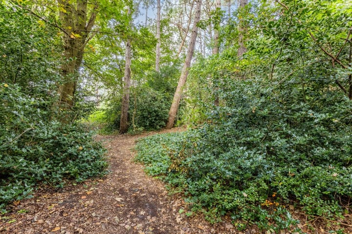 Foto 56 van Veenbes 12