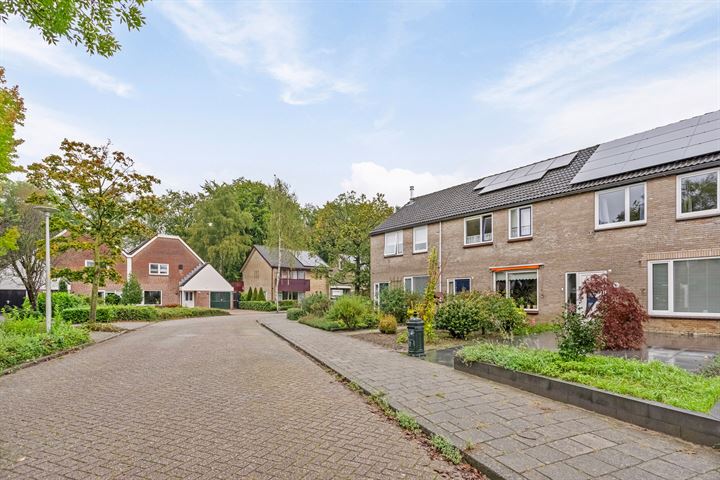 Bekijk foto 1 van Pieter Langendijkstraat 47