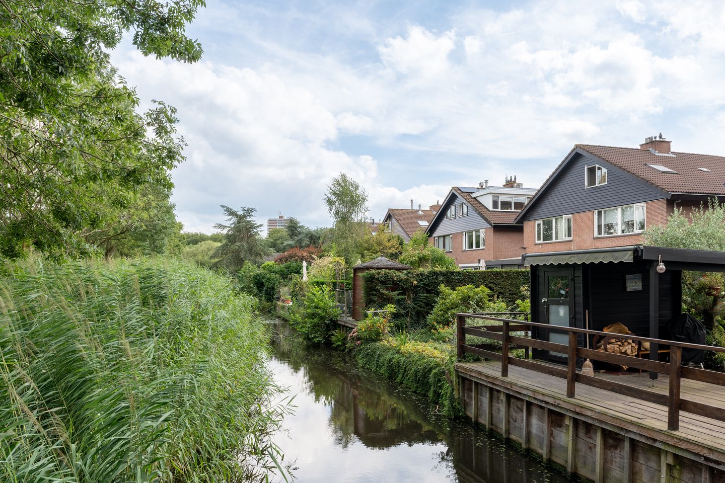 Foto 1 van Luzerneklaver 25