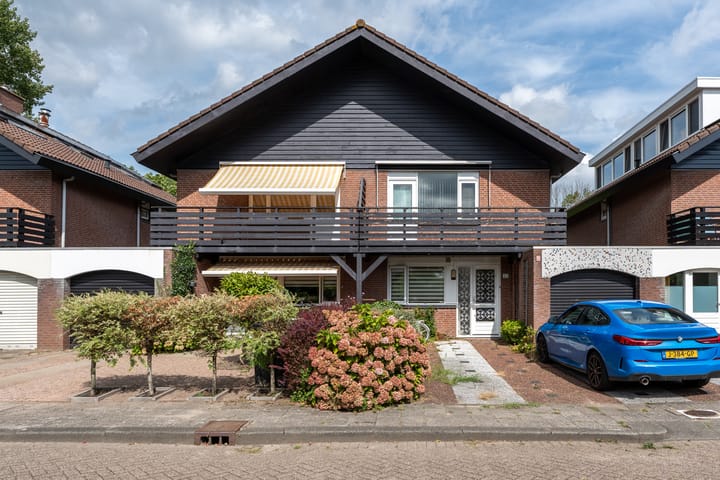 Foto 2 van Luzerneklaver 25