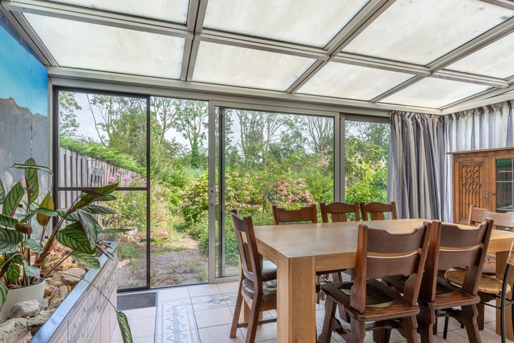 Foto 9 van Luzerneklaver 25