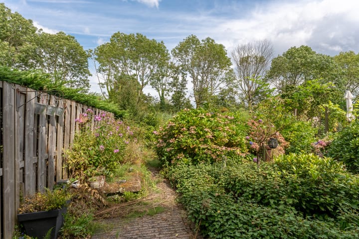 Foto 16 van Luzerneklaver 25