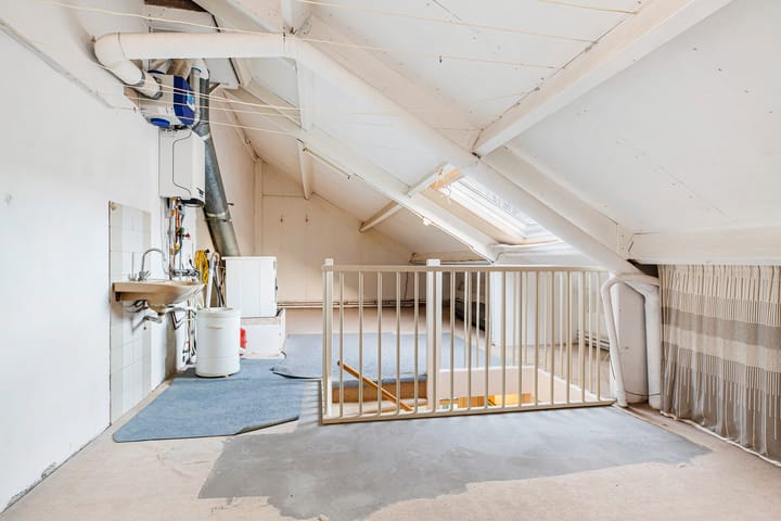 Foto 28 van Luzerneklaver 25