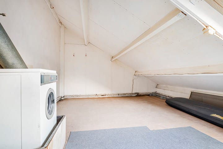 Foto 30 van Luzerneklaver 25