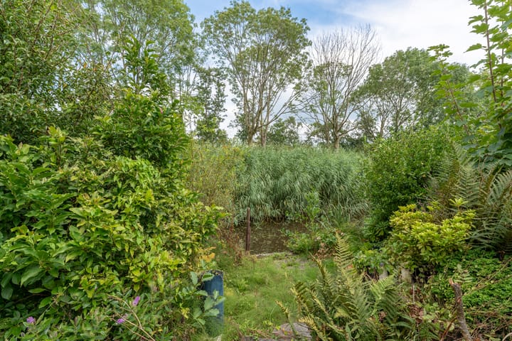 Foto 32 van Luzerneklaver 25