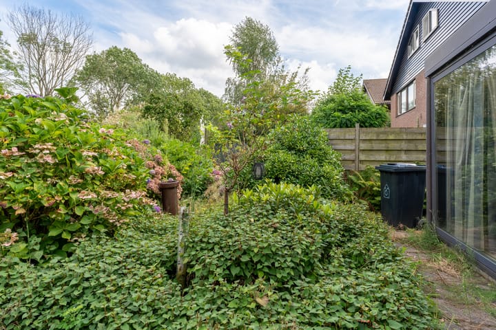 Foto 37 van Luzerneklaver 25