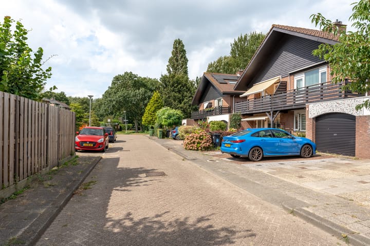 Foto 40 van Luzerneklaver 25