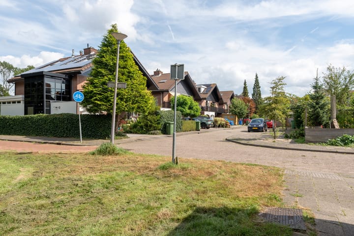 Foto 41 van Luzerneklaver 25