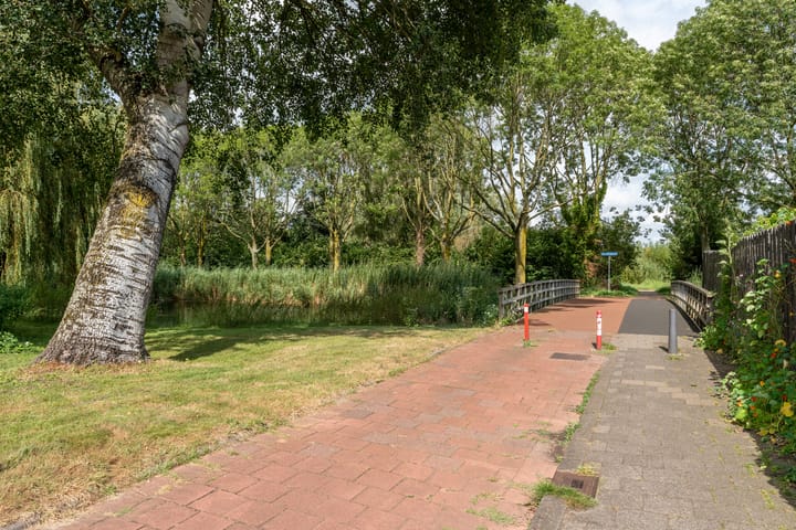 Foto 43 van Luzerneklaver 25