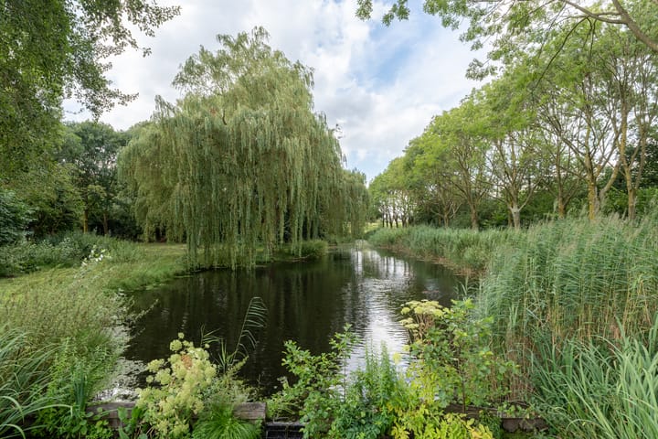 Foto 45 van Luzerneklaver 25