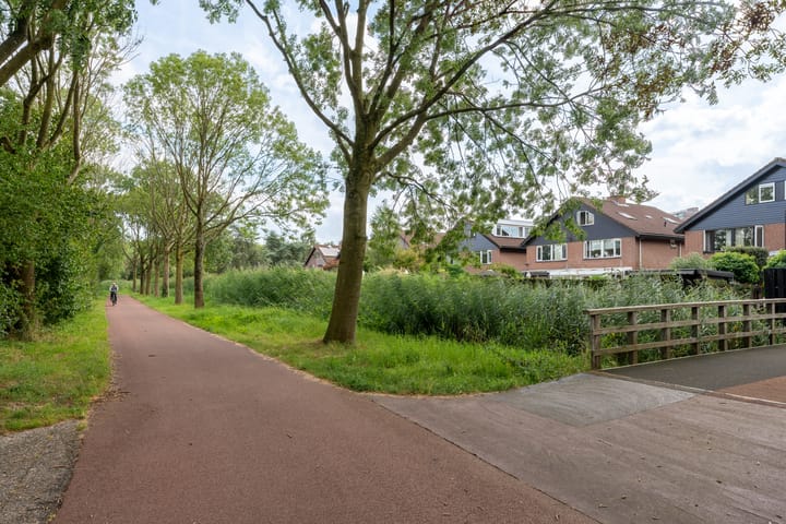 Foto 46 van Luzerneklaver 25