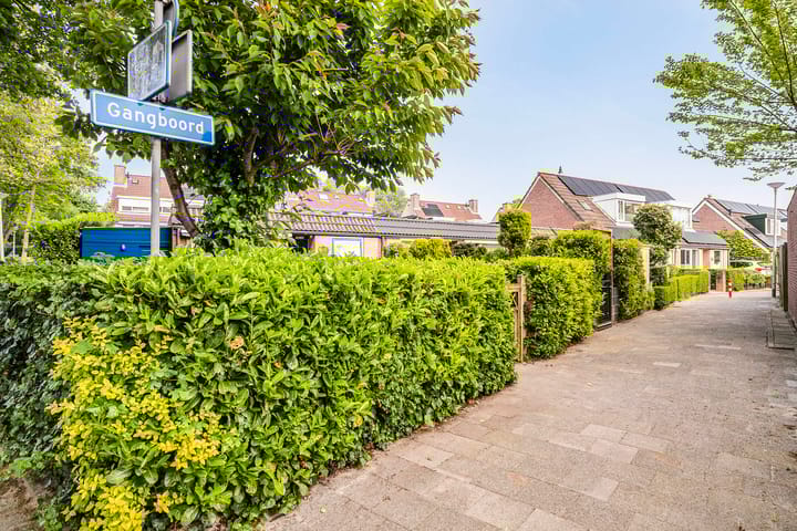 Foto 3 van Gangboord 36