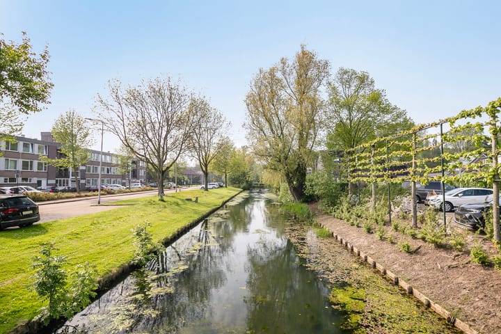 Foto 39 van Gangboord 36