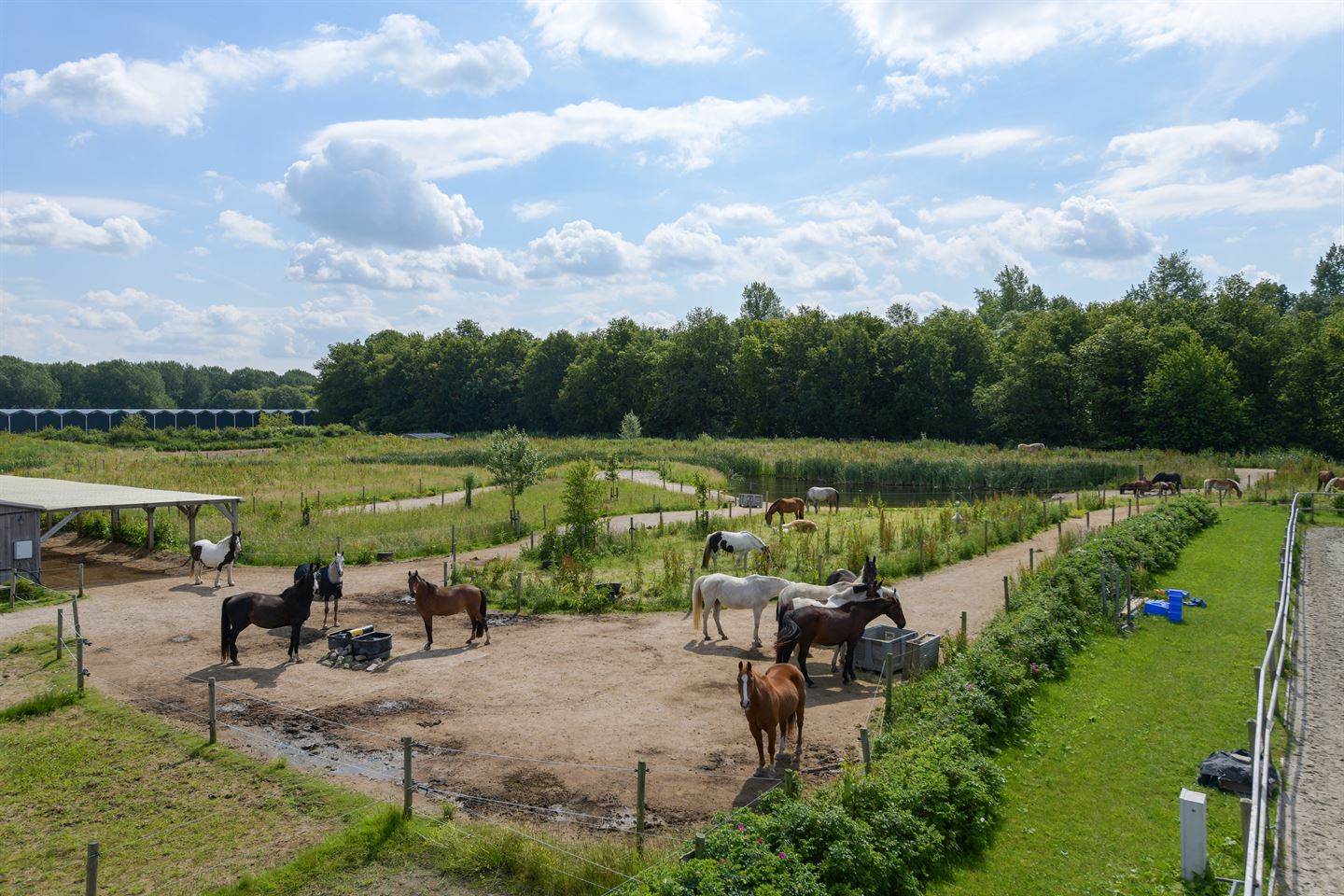 Bekijk foto 4 van Hugo de Vriesweg 15