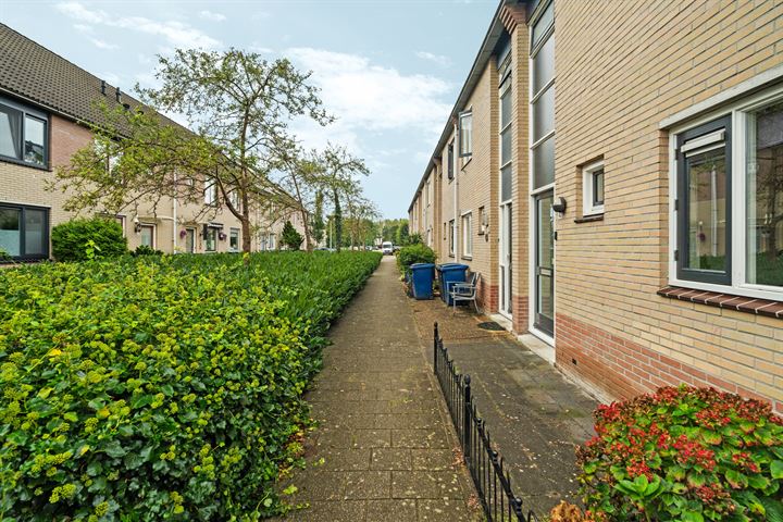 Bekijk foto 9 van Buffelstraat 43