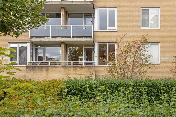 Foto 2 van Moleneindplein 125