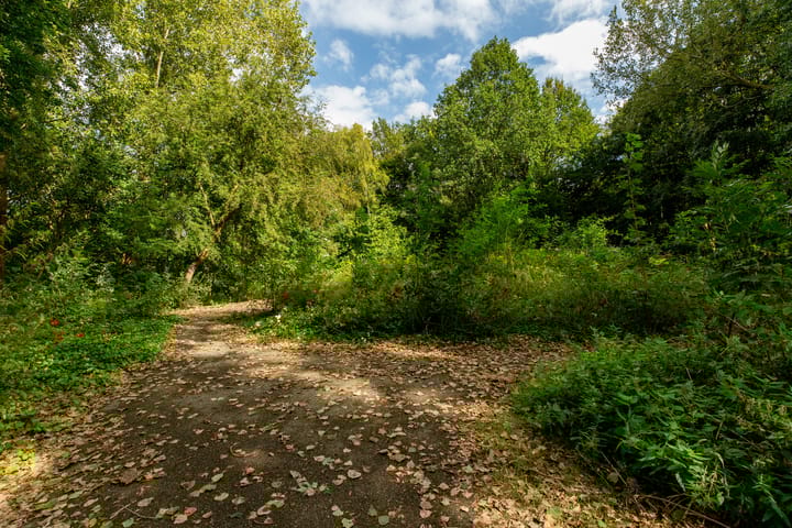 Foto 30 van Schipholstraat 61