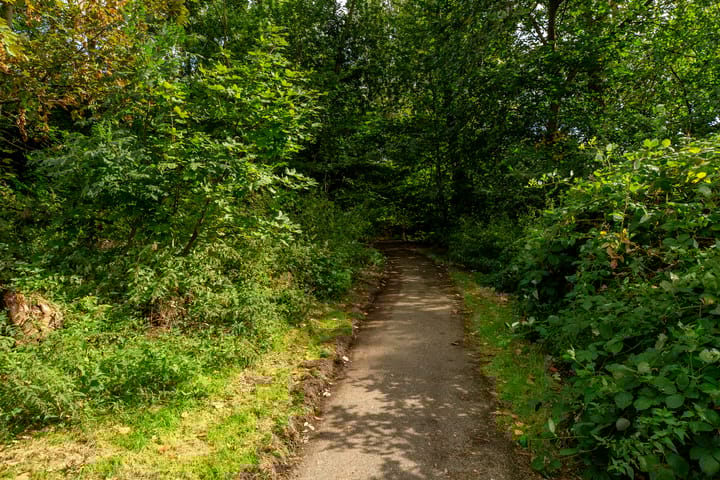 Foto 31 van Schipholstraat 61