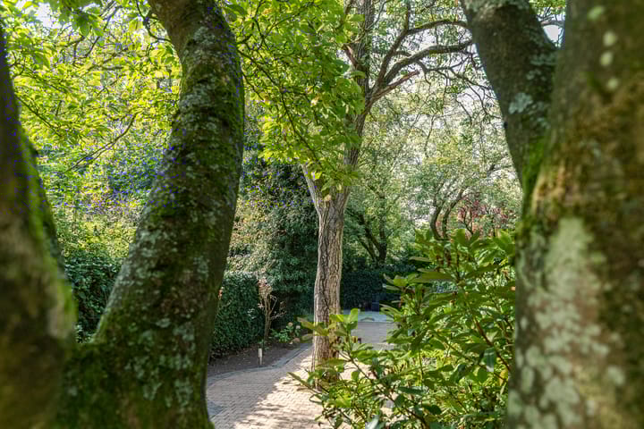 Foto 38 van Baronielaan 148