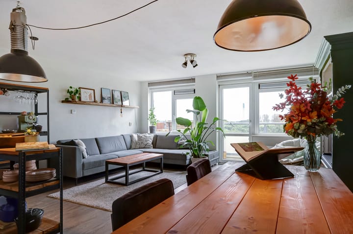 Foto 8 van Tomatenplein 89