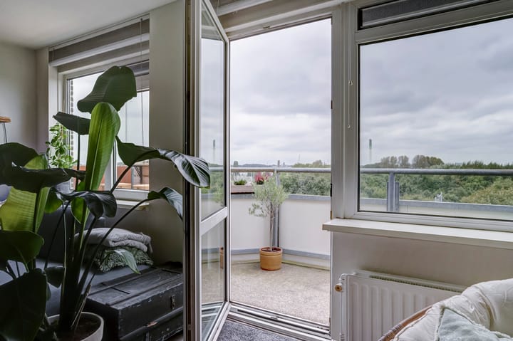 Foto 12 van Tomatenplein 89